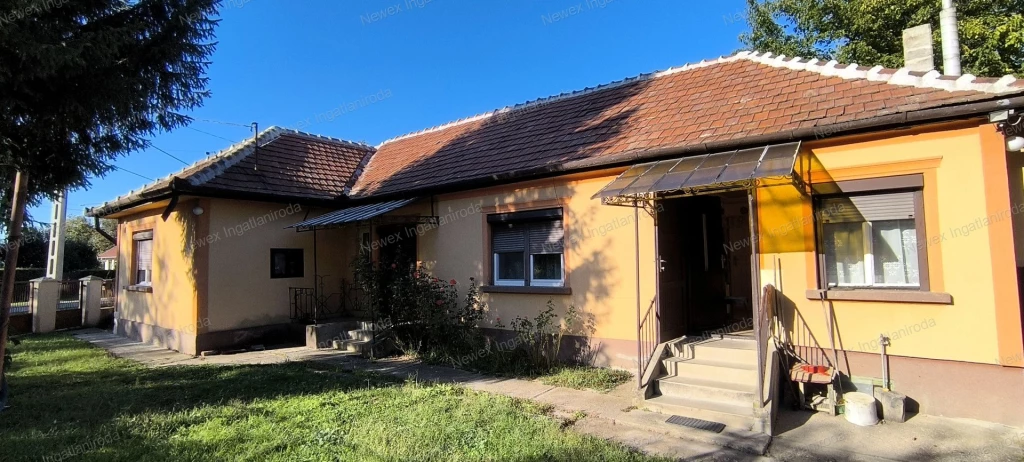 Tágas, stabil szerkezetű családi ház Ongán, nagy telekkel