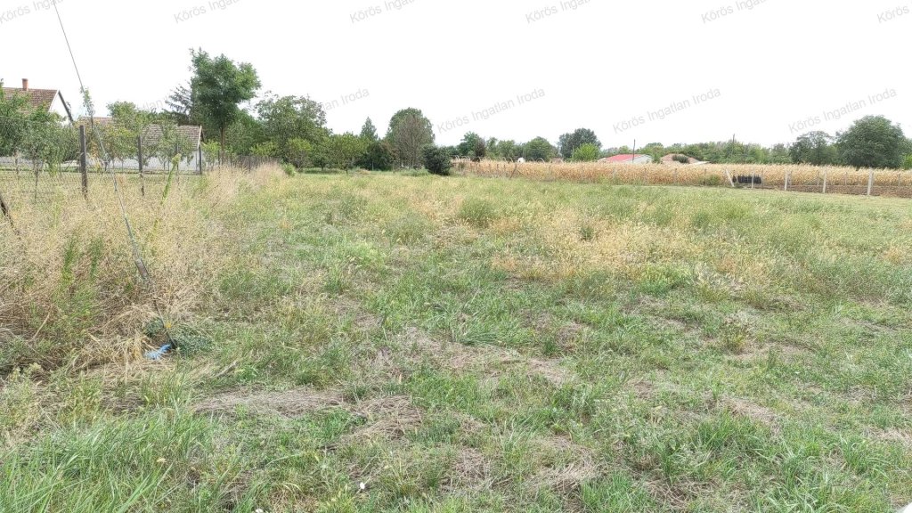 For sale building plot, Csabacsűd