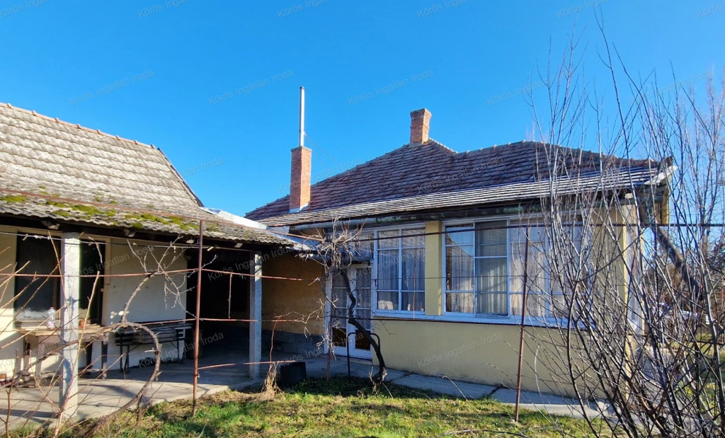 For sale house, Békésszentandrás