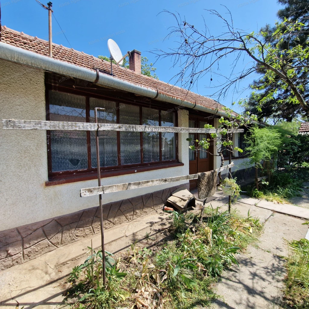 For sale house, Békésszentandrás