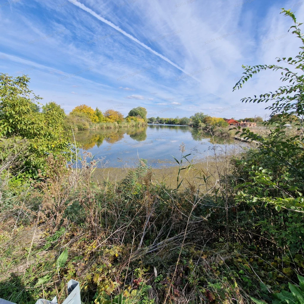 Békésszentandráson vízparti telek eladó!