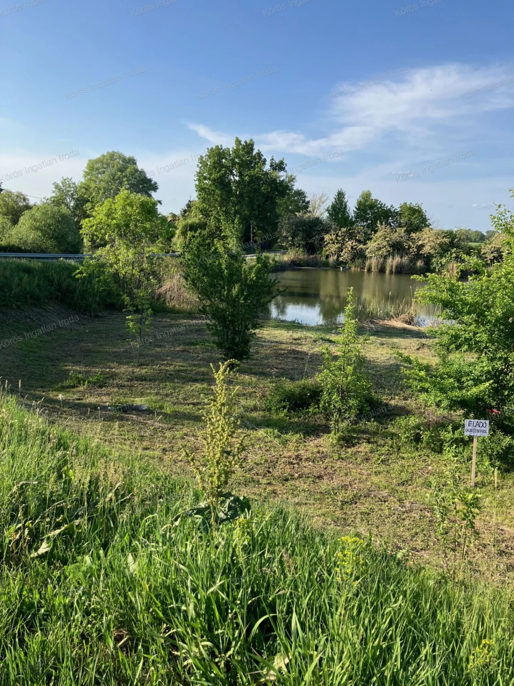 Békésszentandráson vízparti telek eladó!