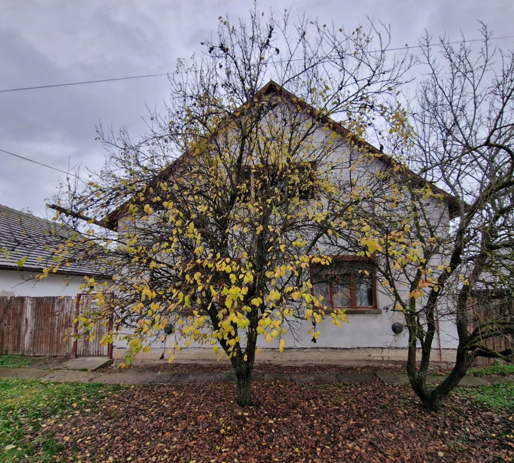 Öcsödön családi ház eladó!