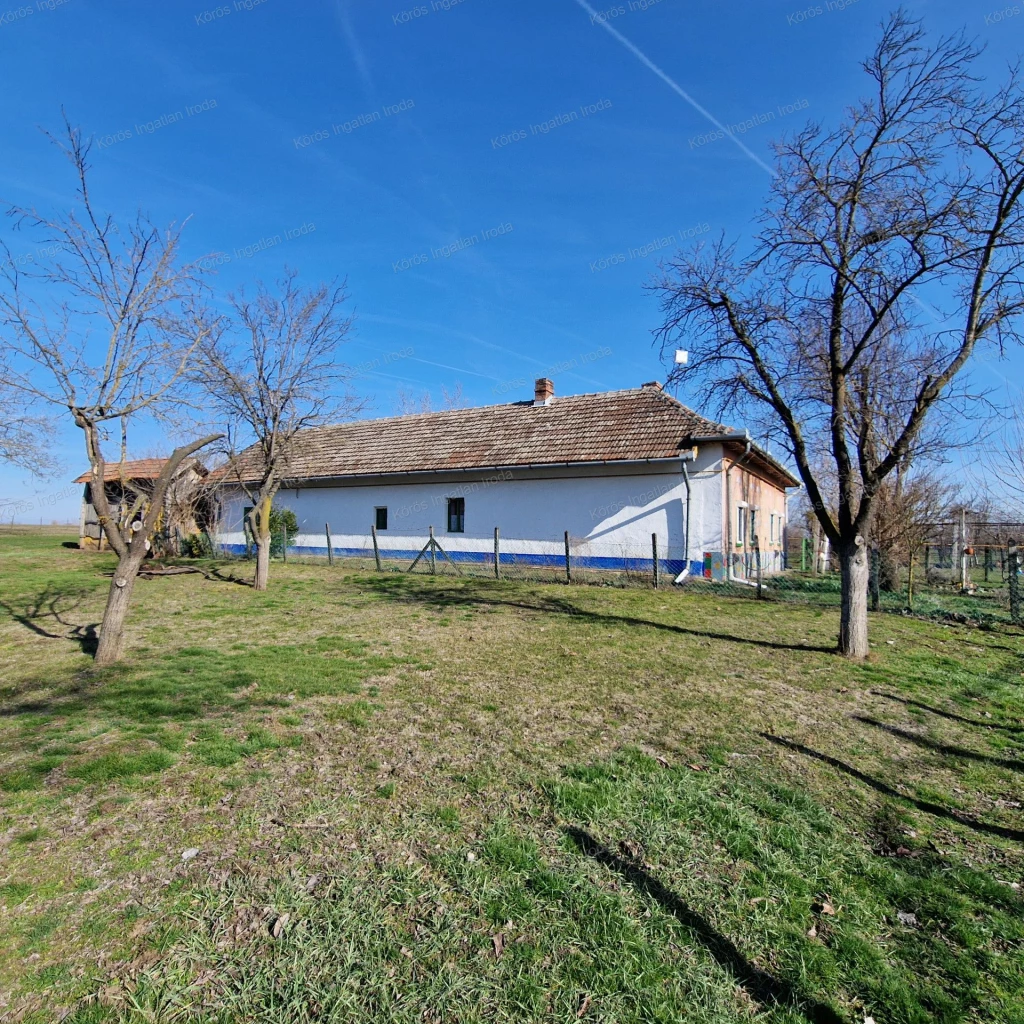 Örménykúton tanya eladó!