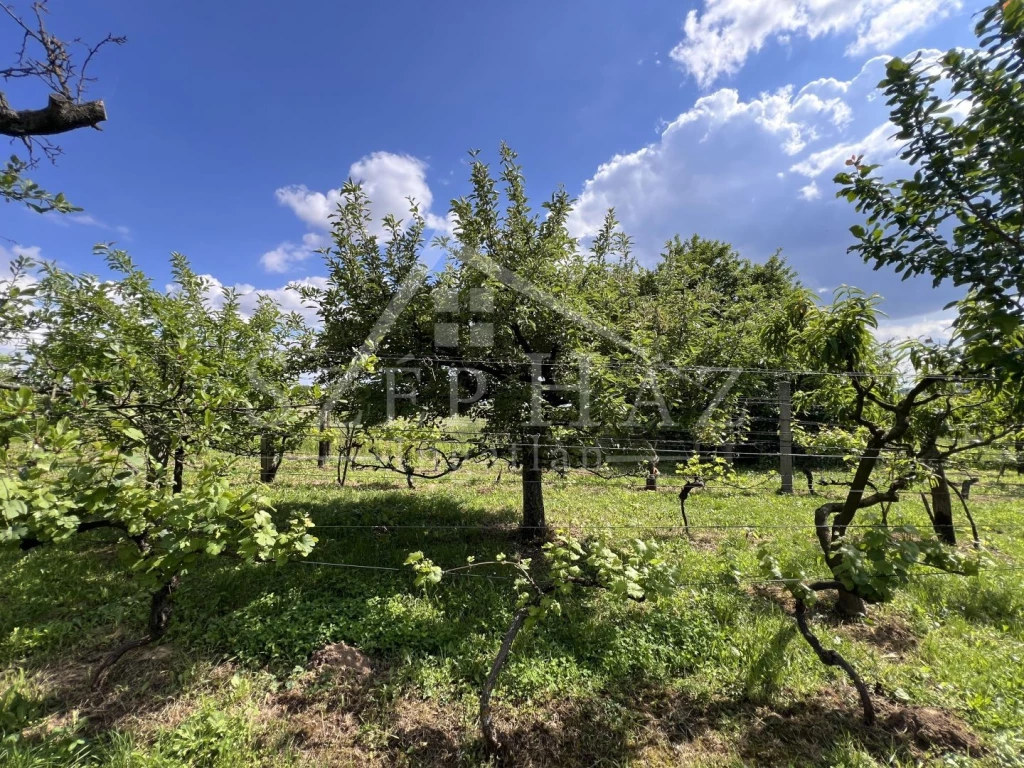 For sale building plot, Pécs