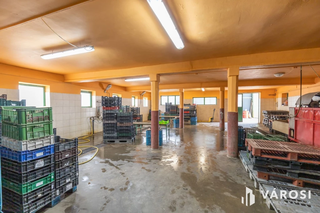 For sale depot, Makó