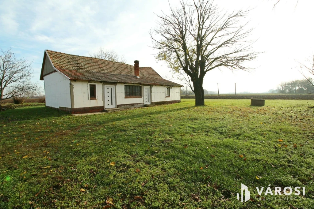 For sale grange, Mórahalom