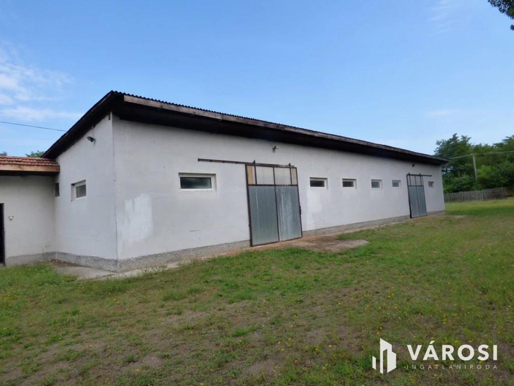 For sale depot, Bugyi