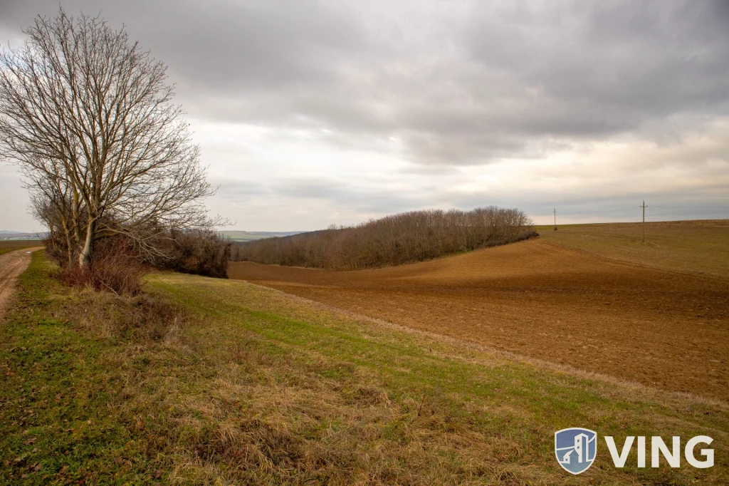 For sale lot, acreage, Erdősmárok