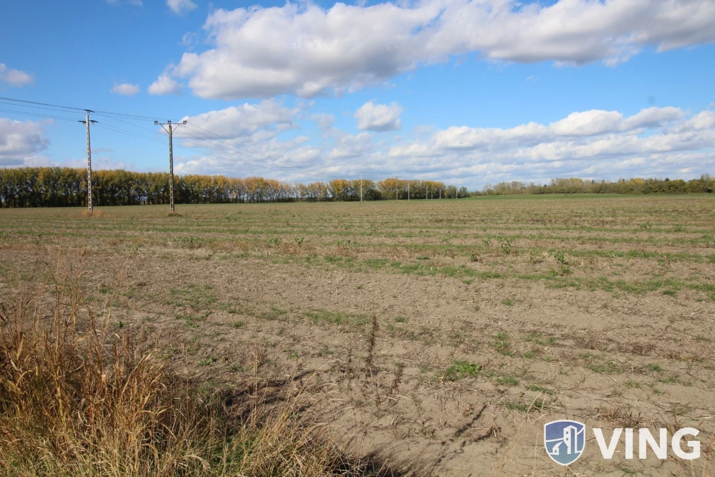 For sale lot, acreage, Kiskunlacháza