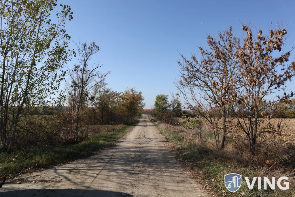 For sale plough-land, pasture, Mindszent