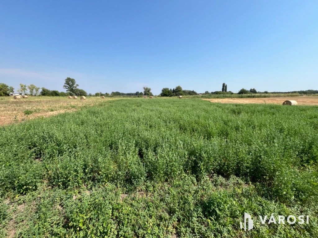 For sale lot, acreage, Debrecen, Biczó István-kert