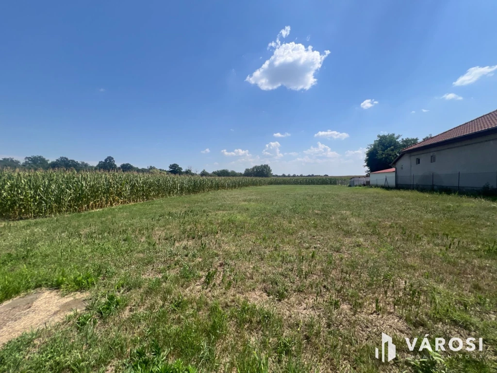 For sale building plot, Szabadkígyós