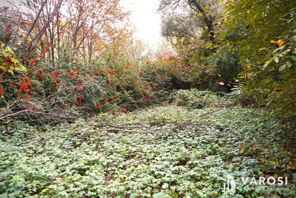 For sale building plot, Győr, Révfalu