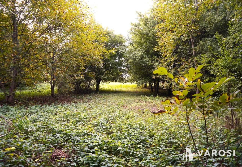 For sale building plot, Győr, Révfalu