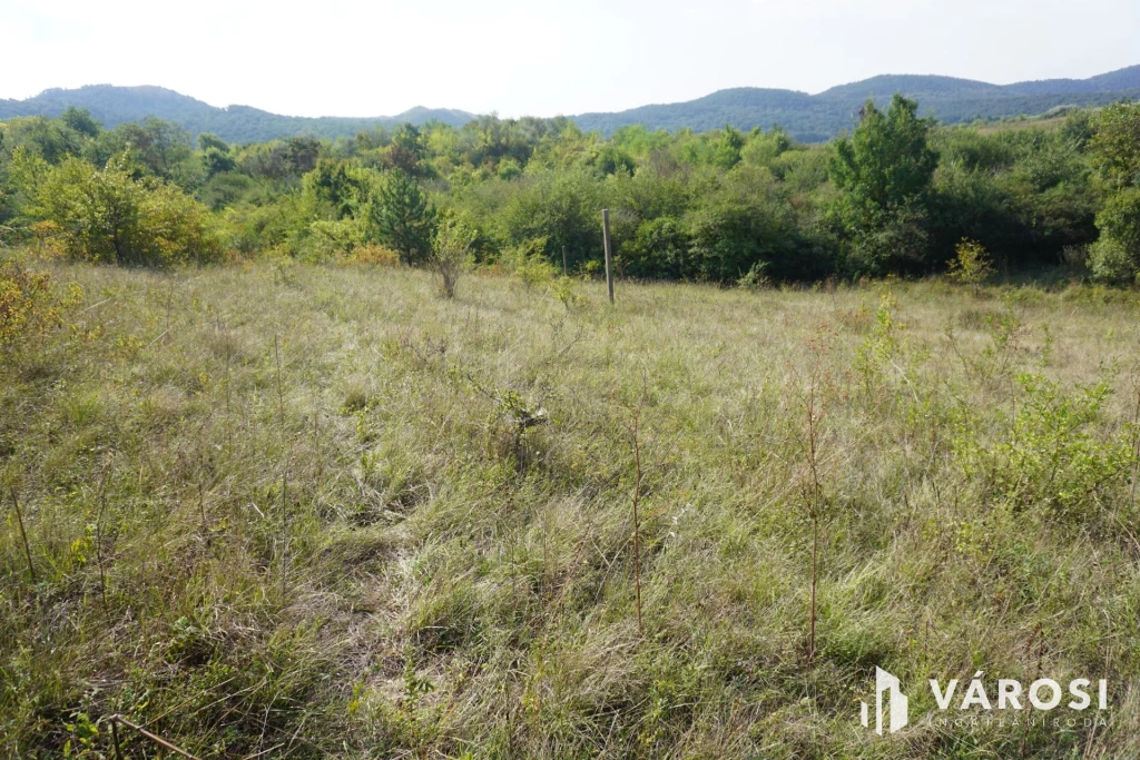 For sale building plot, Budakeszi