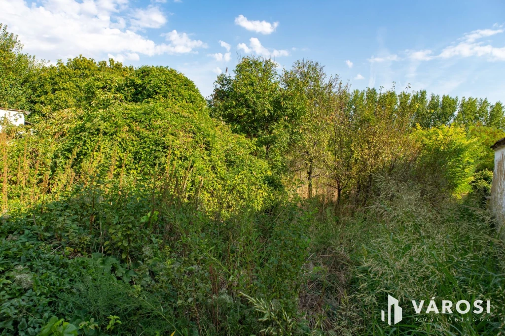 For sale building plot, Bár