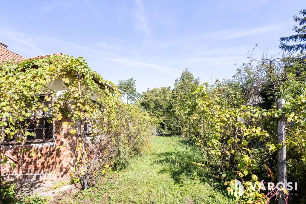 For sale house, Gyula, Újváros