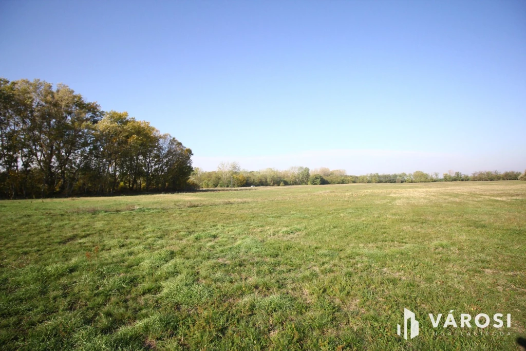 For sale lot, acreage, Balástya