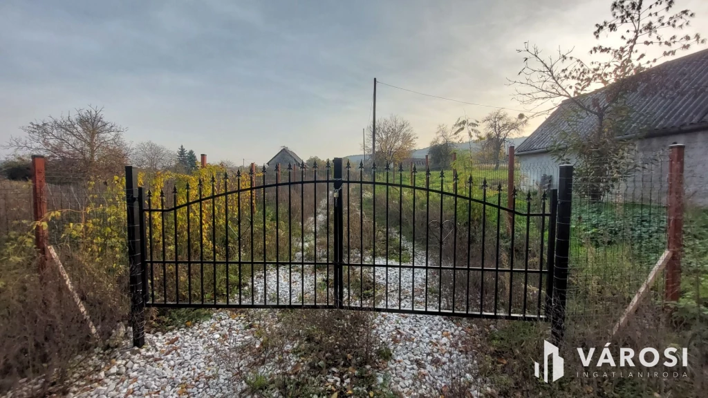 Bazsi szőlő hegyen 1,75 ha terület lakóépülettel eladó