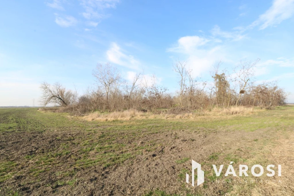 For sale grange, Hódmezővásárhely