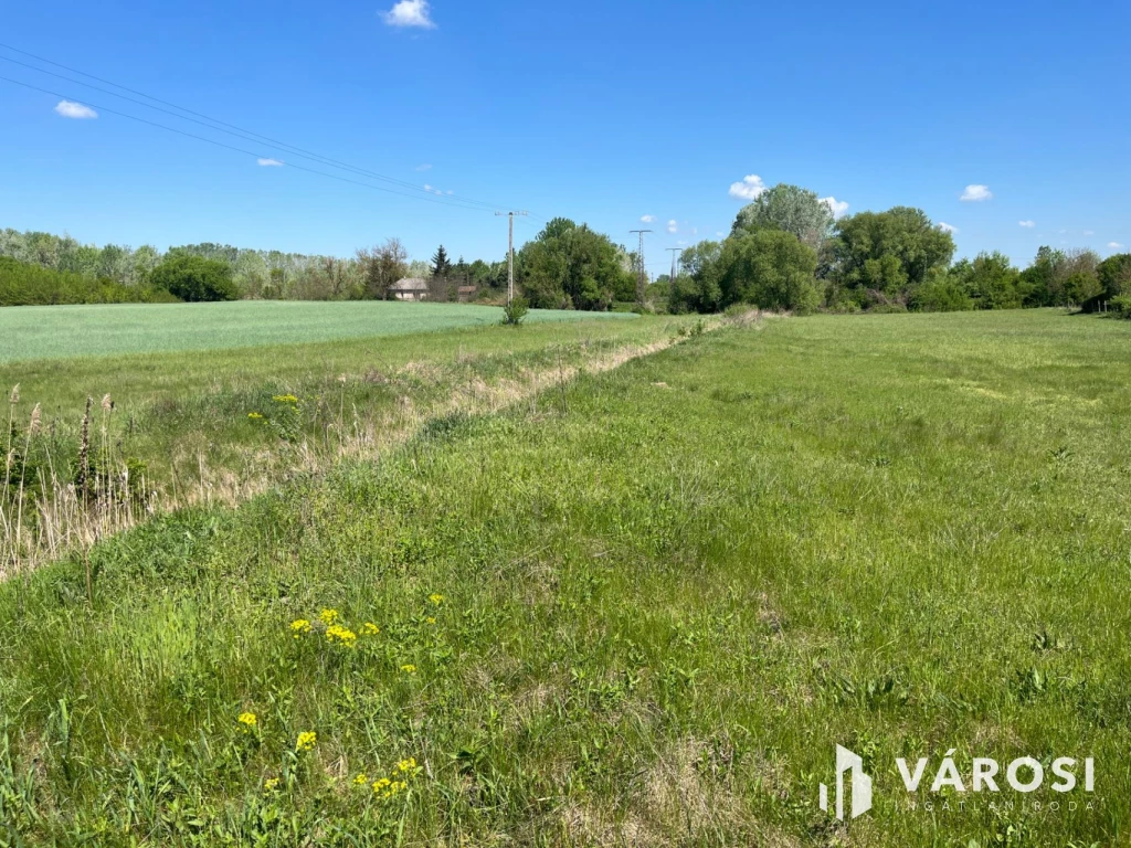 For sale lot, acreage, Debrecen, Haláp