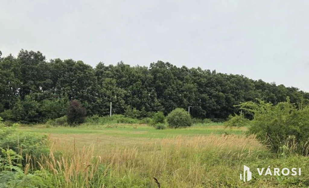 Eladó telek Abádszalók csendes, zöldövezeti részén!
