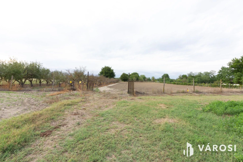 For sale plough-land, pasture, Domaszék