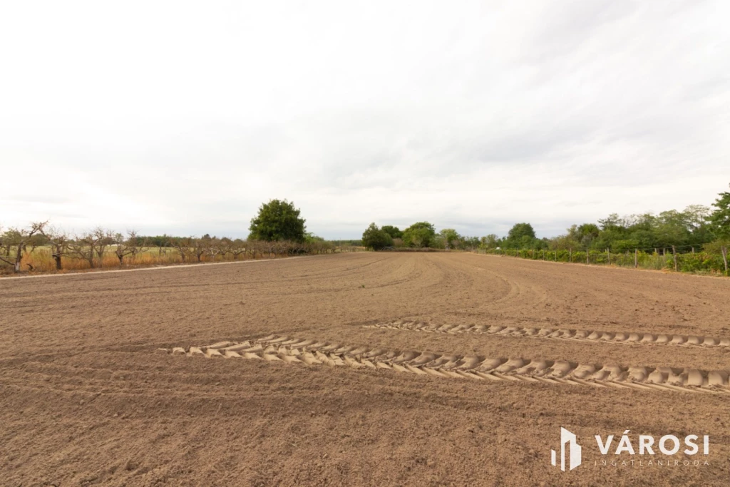 c3-1-name c2-50-name, Domaszék