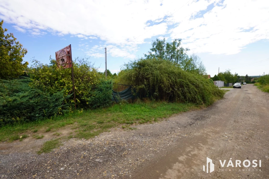 Hatalmas telek eladó Ecseren!