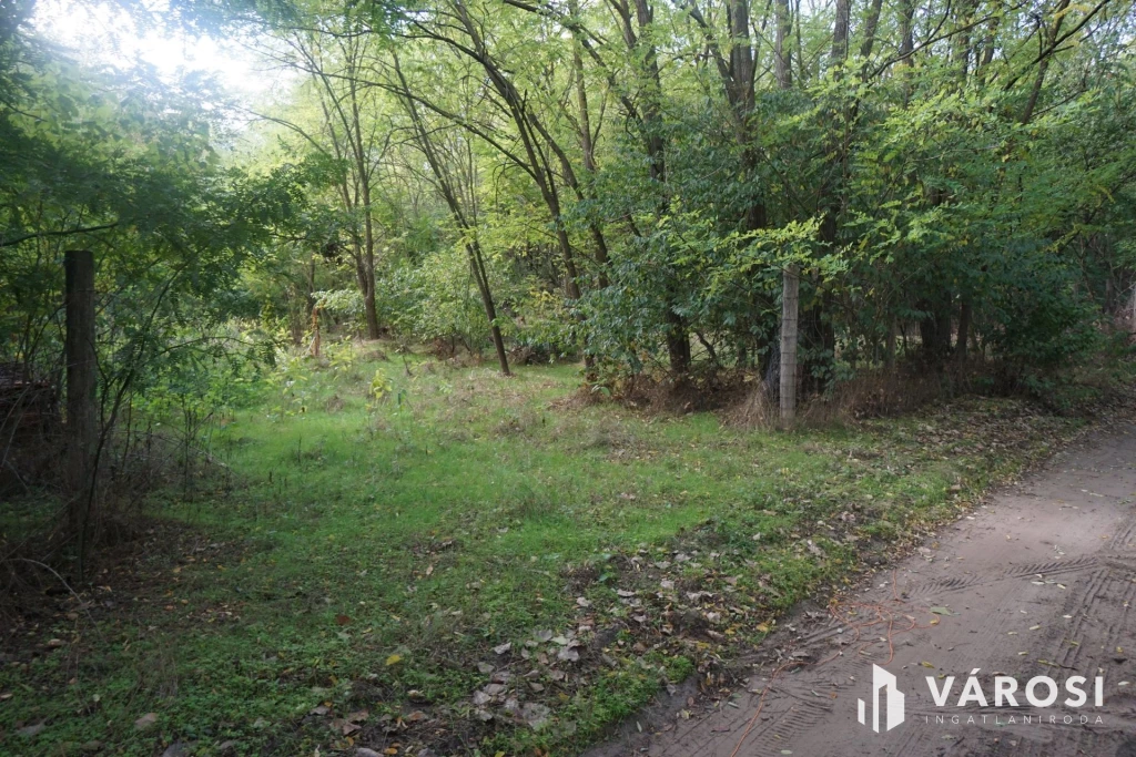 Budapesttől 16 km-re erdei környezetben tanya eladó