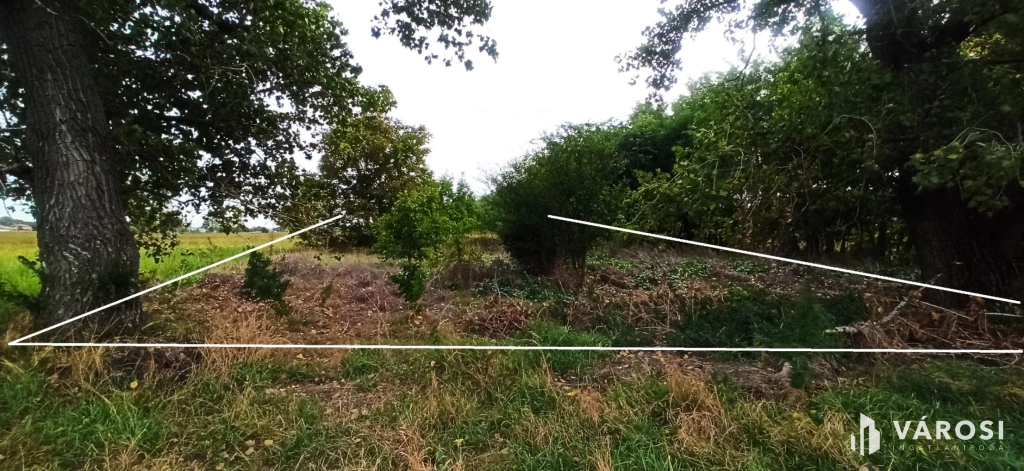 c3-1-name c2-50-name, Szigetszentmiklós