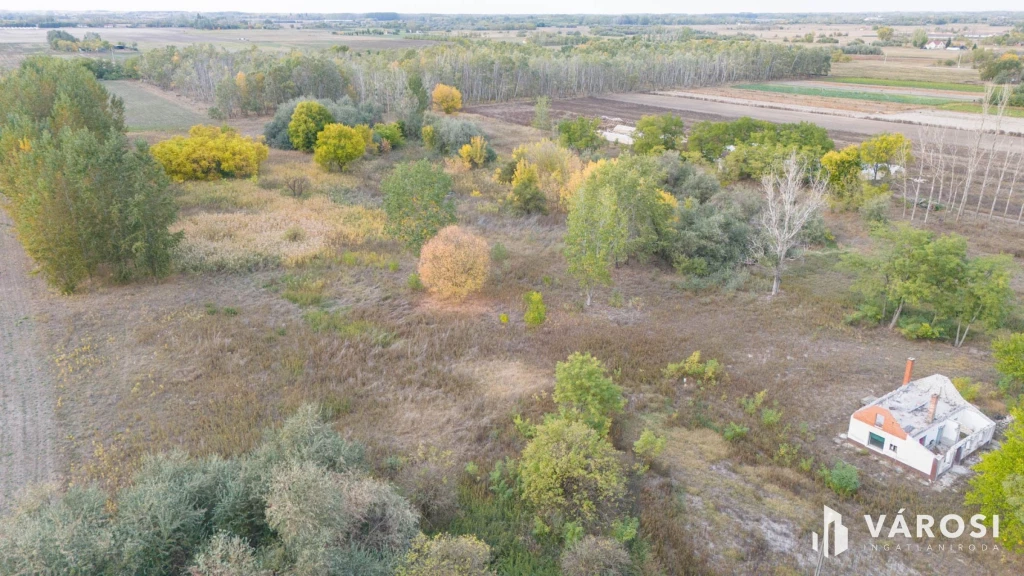 For sale grange, Balástya
