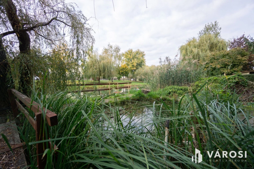 Családi ház a Holt-Duna partján, osztható telekkel!
