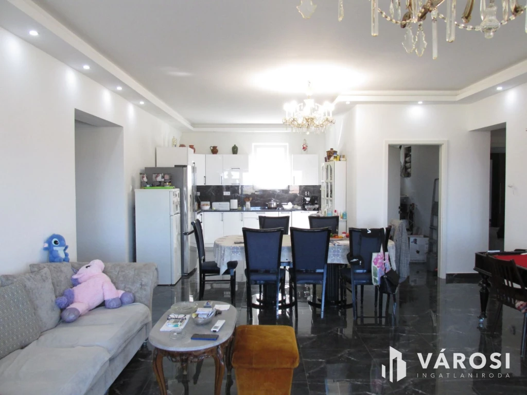 Új építésű nagy családi ház tágas telekkel