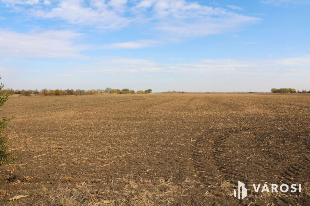 Eladó szántóföld Orosháza közelében