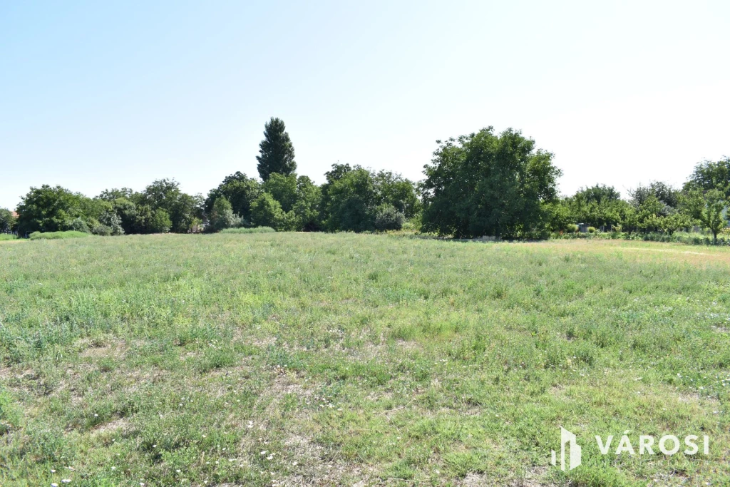 c3-1-name c2-50-name, Békéscsaba, Jamina