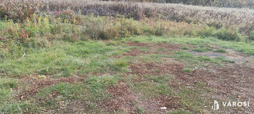 c3-1-name c2-50-name, Dömsöd