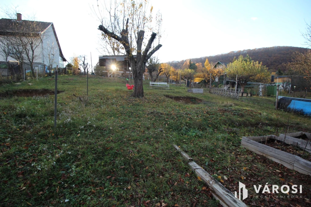 Rönkházzal együtt eladó üdülőtelek