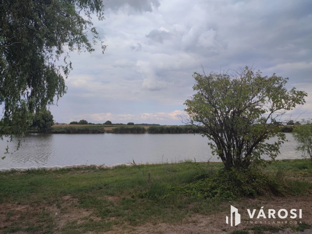 Nyugalom a természet szívében