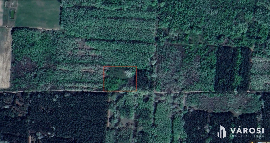 Erdei tanya Ruzsa-Öttömös határában eladó