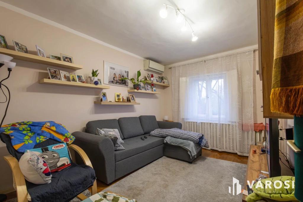 Baktói családi ház garázzsal és nagy telekkel