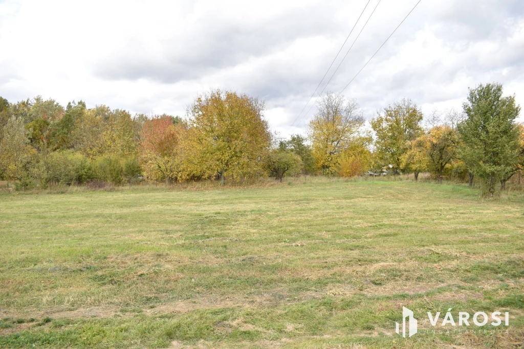 c3-1-name c2-50-name, Gyula, Szentpálfalva