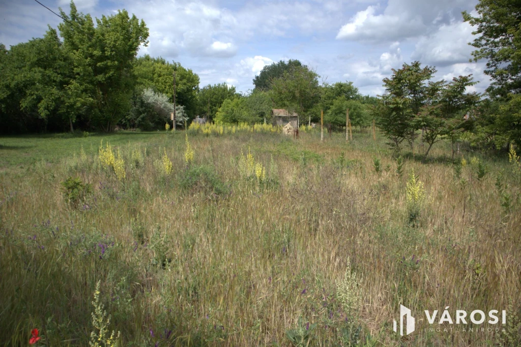 Sándorfalvi zárt kert