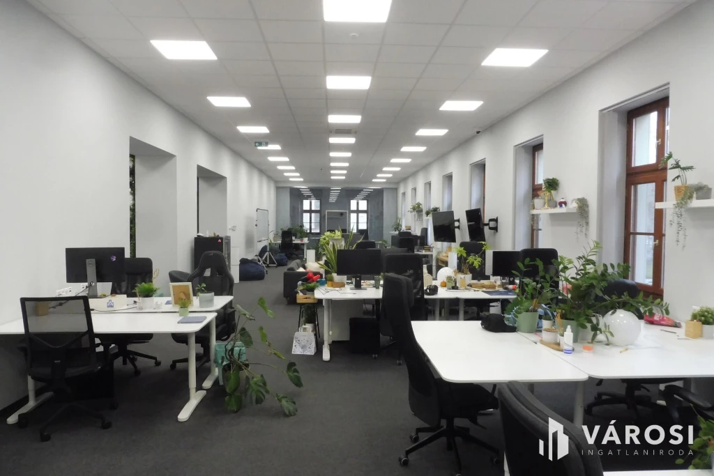 c3-2-name c2-68-name, Szeged, Szeged Belváros