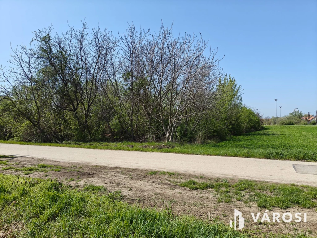 c3-1-name c2-50-name, Makó