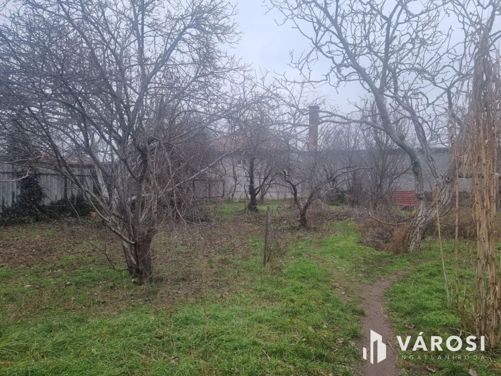 Hatalmas telek Vecsés közkedvelt részén!
