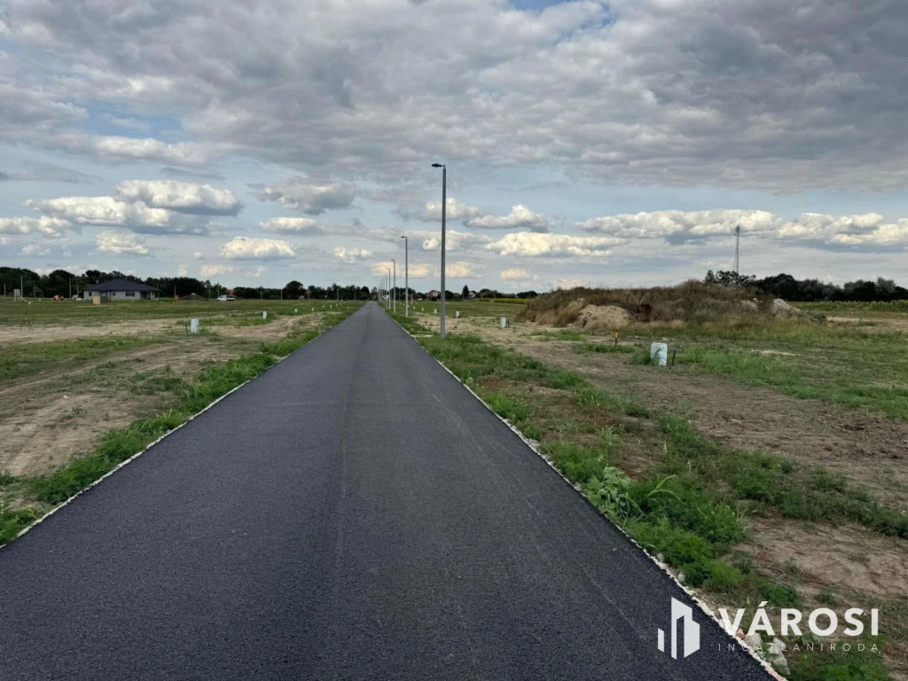 Deszk,Szőlőskerti lehetőség,később ki tudja.