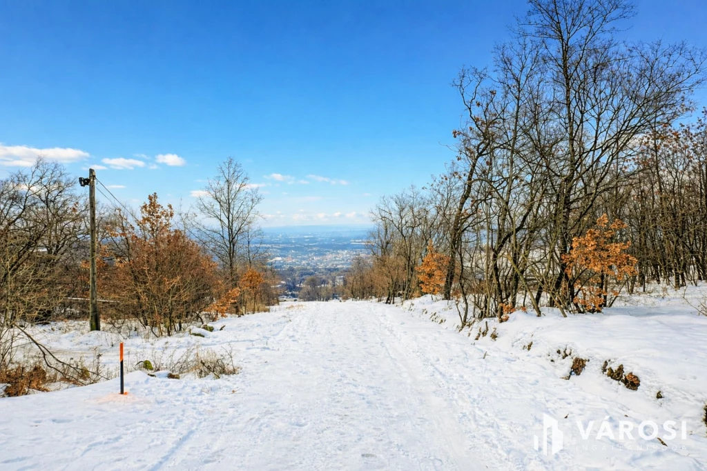 c3-1-name c2-50-name, Szentendre