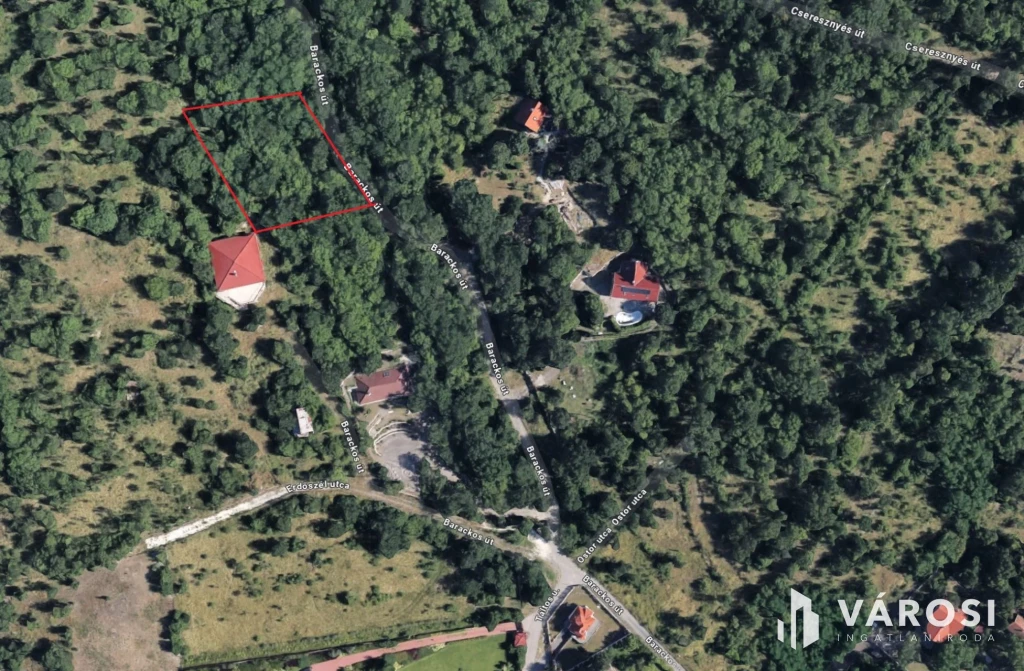 c3-1-name c2-50-name, Szentendre